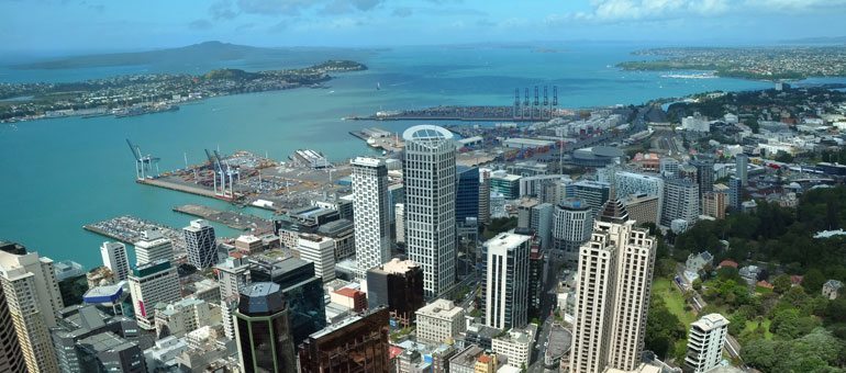 Auckland tech sector job market