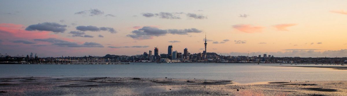 NZ tech companies forecast to rapidly expand in 2020