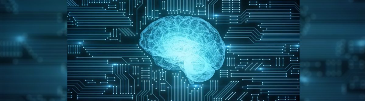 Stark divide in AI use and risk of Kiwi organisations being left behind