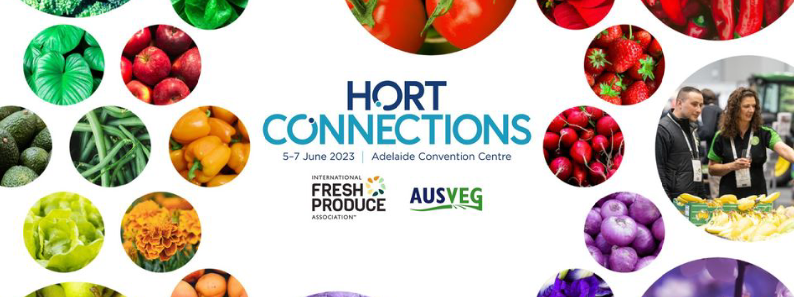 hort connections